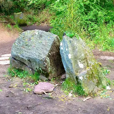 LA MYSTERIEUSE FORET DE BROCELIANDE